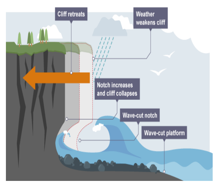 Geological Work of Oceans : Section of Sea Basin, Depositional ...